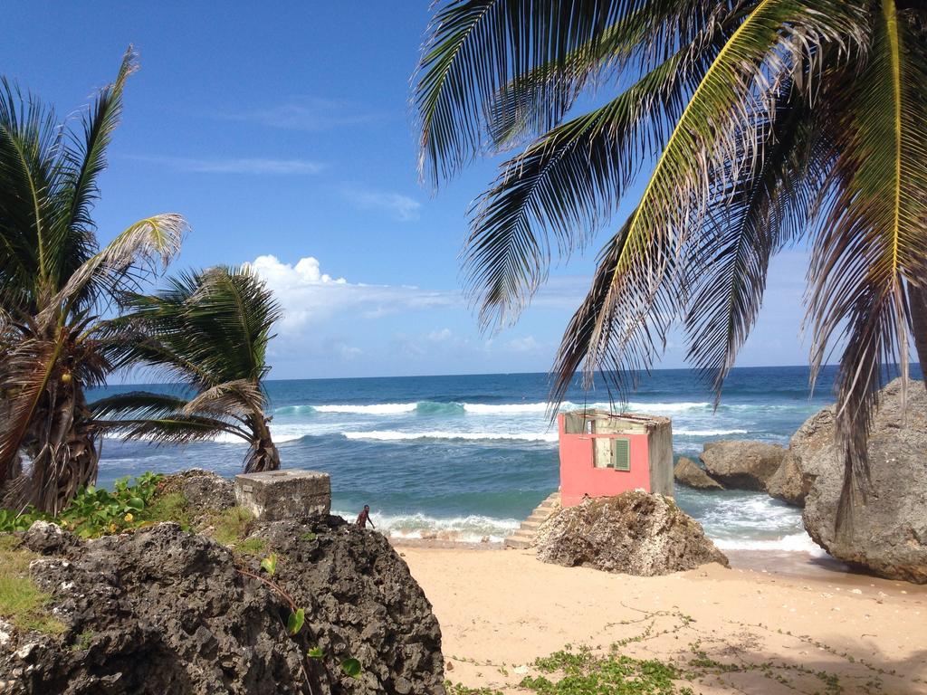Eco Lifestyle And Lodge Bathsheba Exterior foto