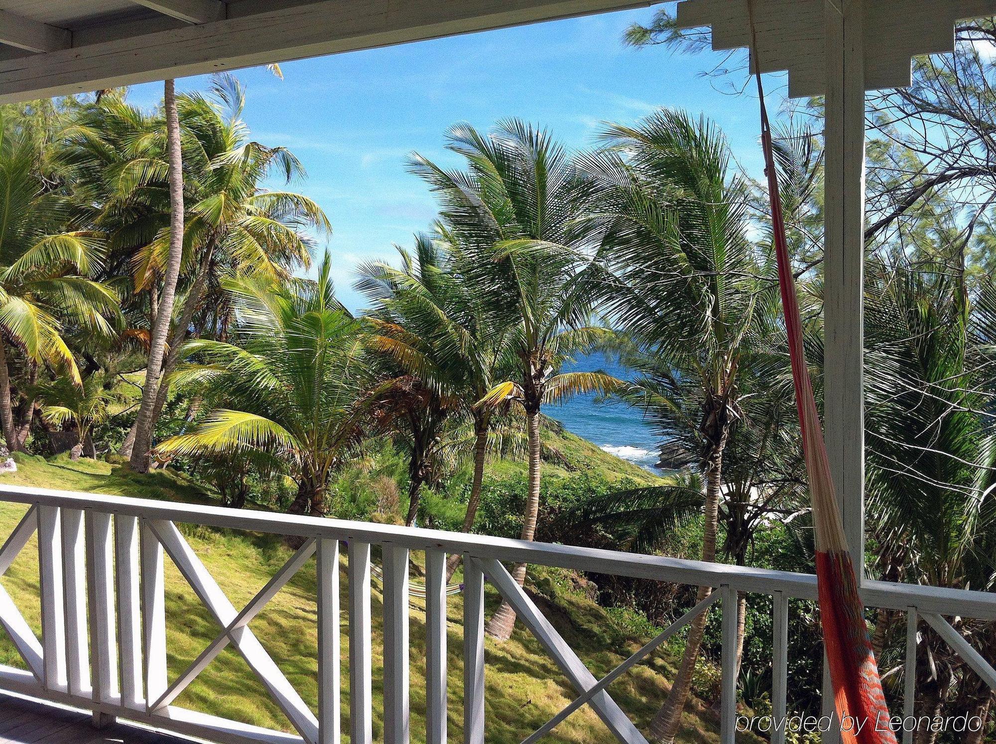 Eco Lifestyle And Lodge Bathsheba Exterior foto
