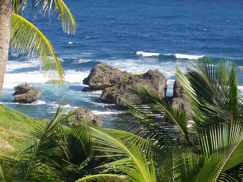 Eco Lifestyle And Lodge Bathsheba Exterior foto